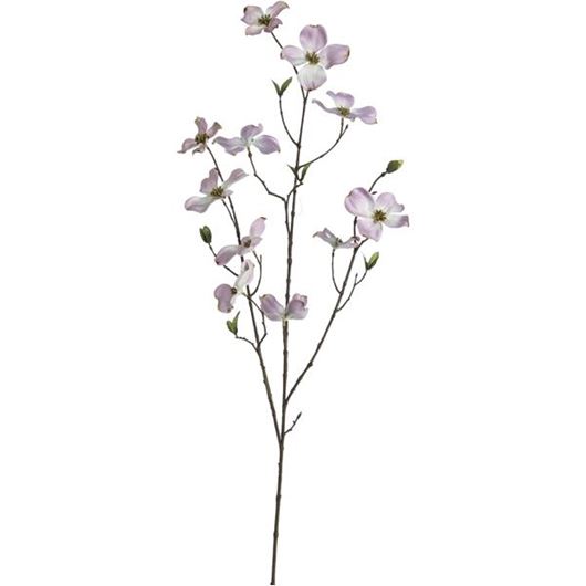 Picture of DOGWOOD stem h100cm pink