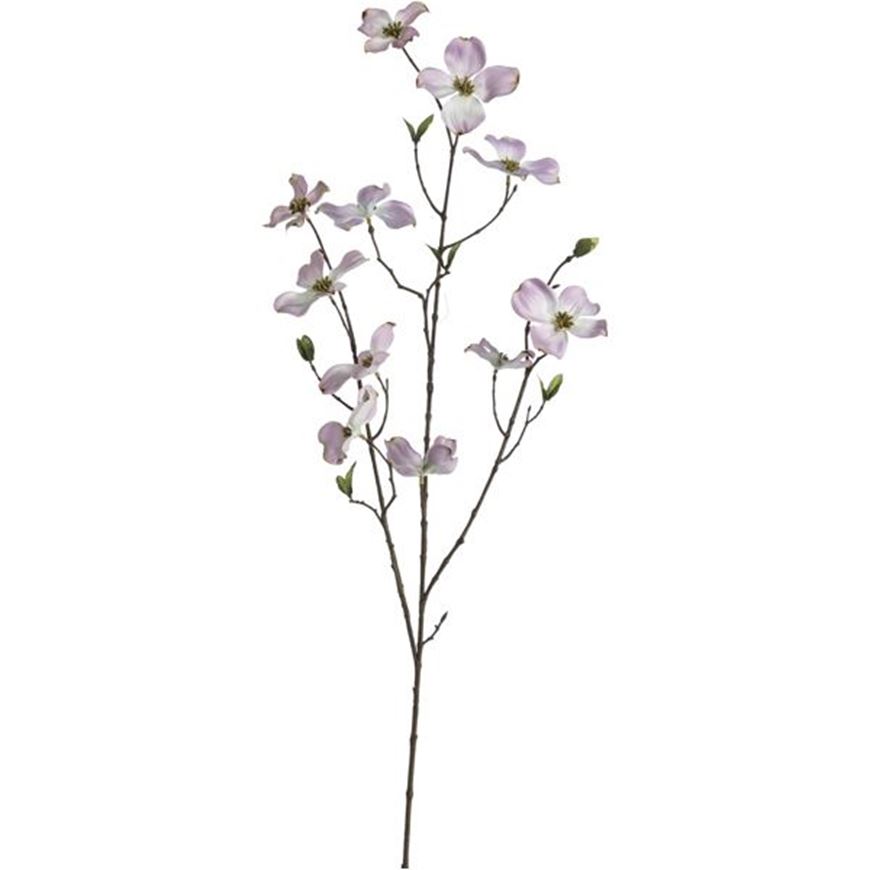 Picture of DOGWOOD stem h100cm pink
