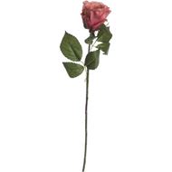 ROSE stem h56cm pink