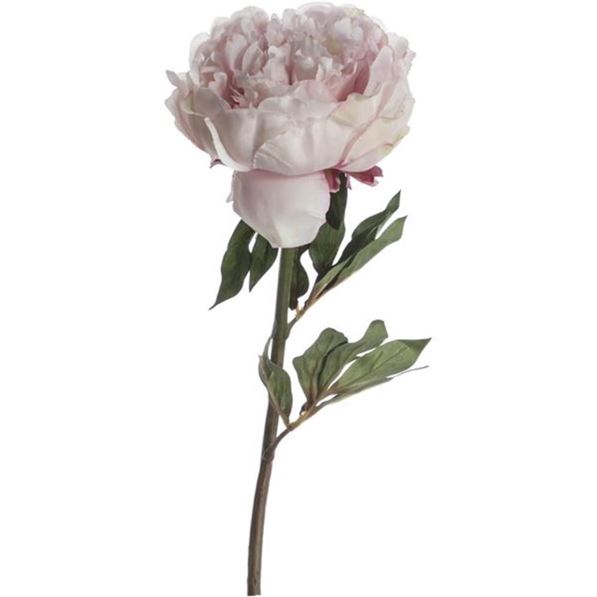 Picture of PEONY stem h46cm pink/cream