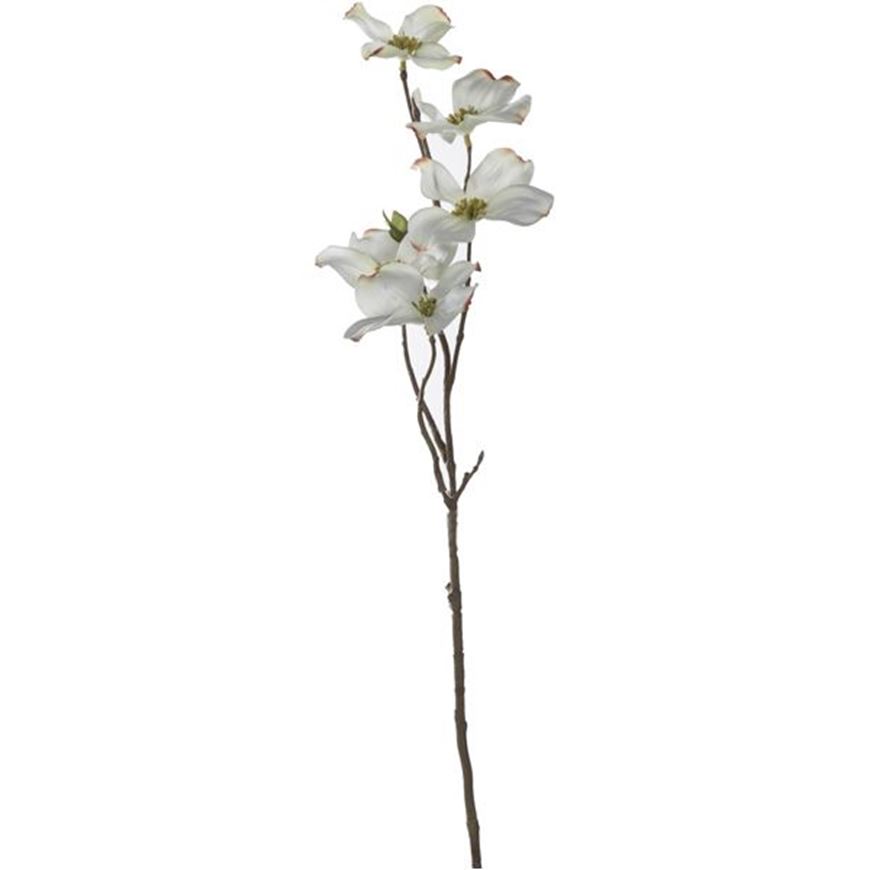 Picture of DOGWOOD stem h63cm white