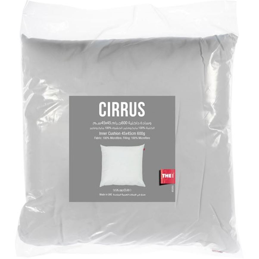 Picture of CIRRUS inner cushion 45x45 600g white