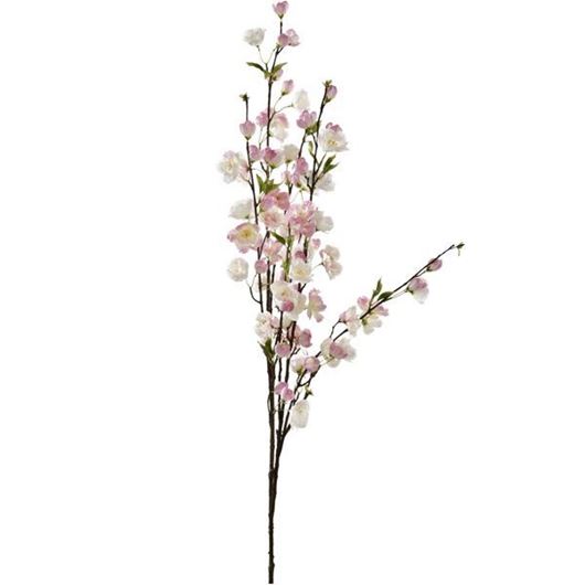 CHERRY BLOSSOM stem h137cm pink