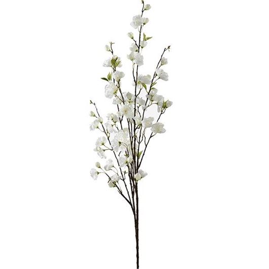CHERRY BLOSSOM stem h137cm white