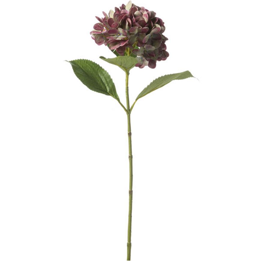 Picture of HYDRANGEA stem h68cm purple