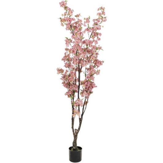 CHERRY blossom tree h165cm pink