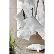 ASTRID pillow soft and high 50x70 550g white